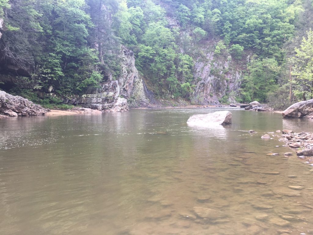 Burnsville nc fishing trips Burnsville Anglers Fishing Guide Service